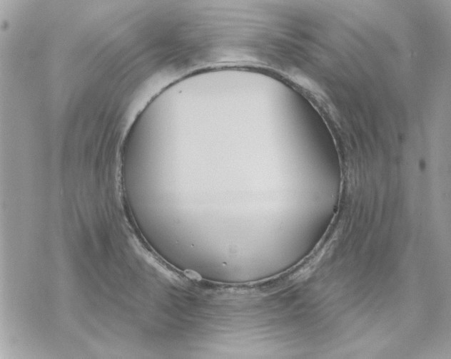 X0000070881374200607071937