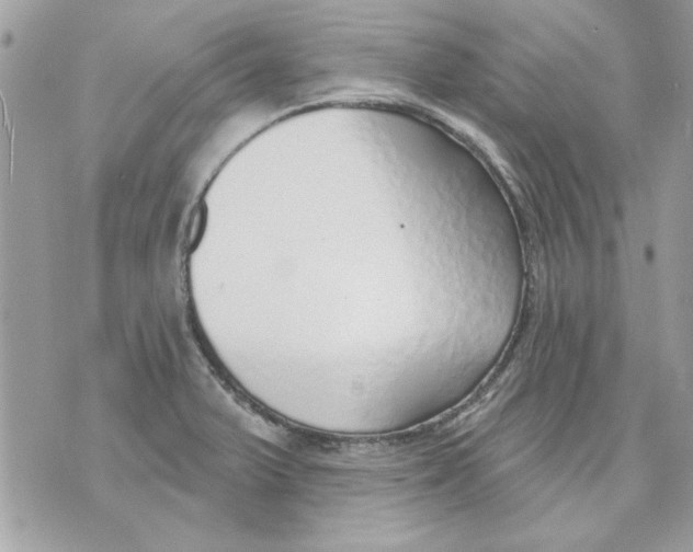 X0000070881375200607071937