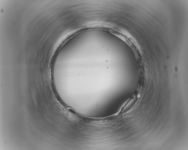 X0000070881376200607071937