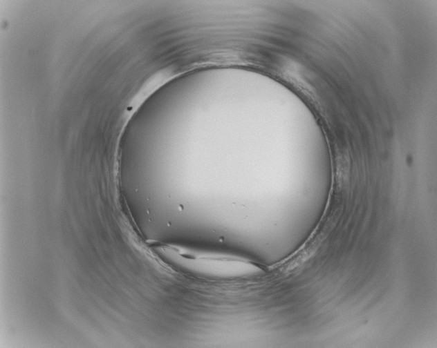 X0000070881378200607071937