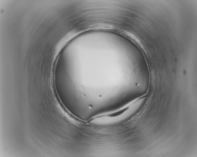 X0000070881379200607071937