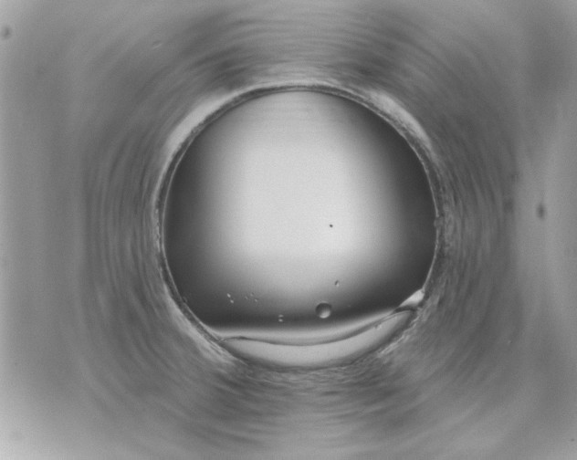 X0000070881380200607071937