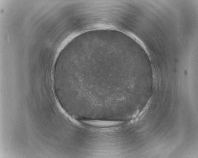 X0000070881381200607071937