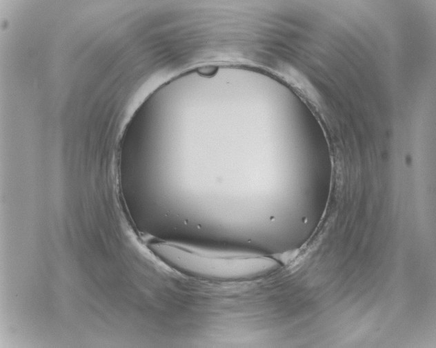 X0000070881382200607071937