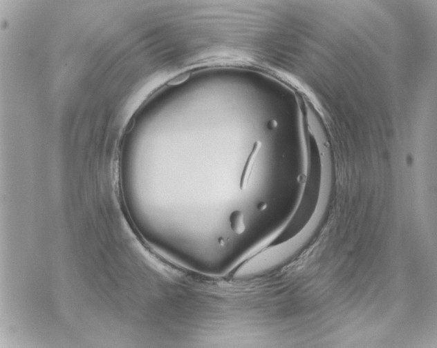 X0000070881383200607071937