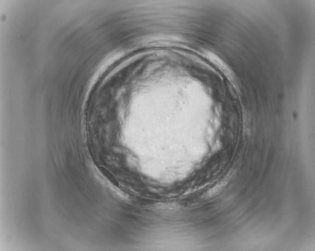 X0000070881384200607071937