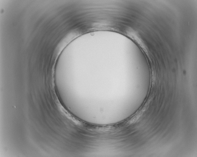 X0000070881386200607071937