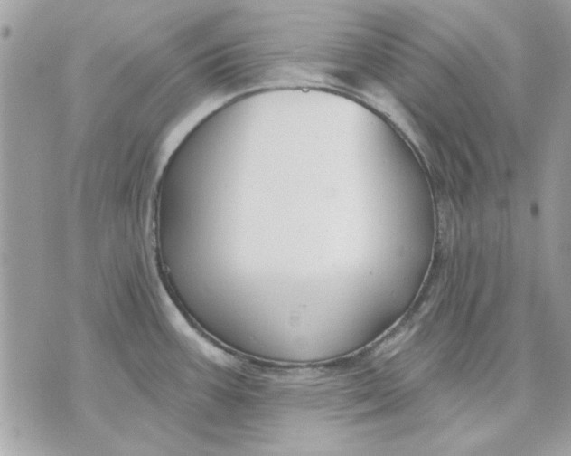 X0000070881387200607071937