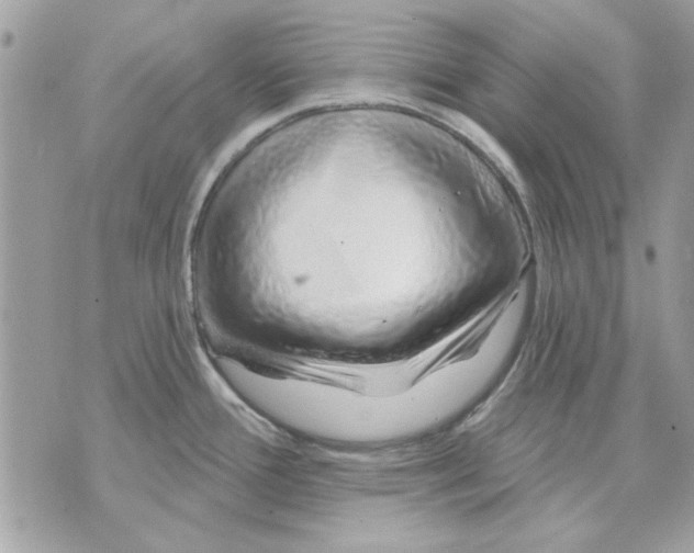 X0000070881388200607071937