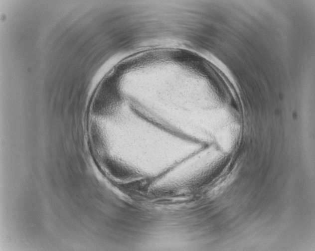 X0000070881389200607071937