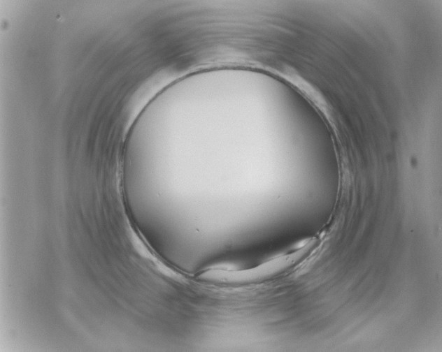 X0000070881390200607071937