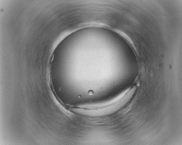 X0000070881391200607071937