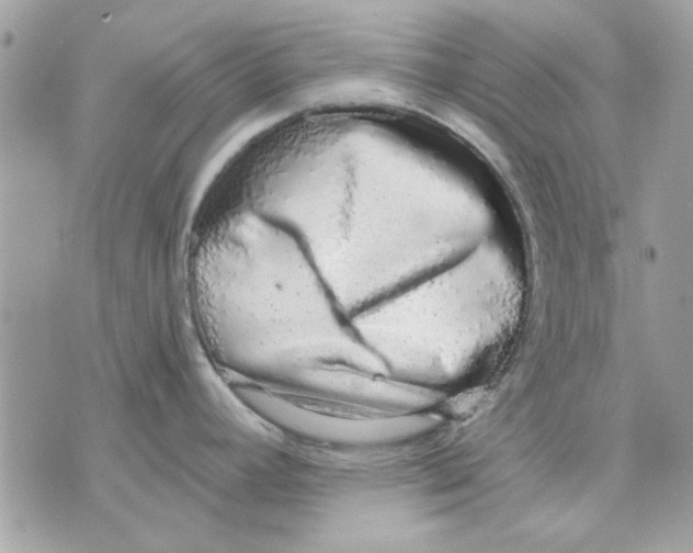 X0000070881392200607071937