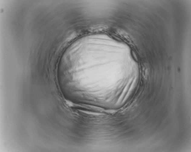 X0000070881393200607071936