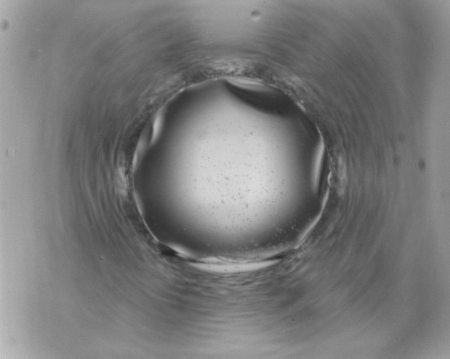 X0000070881394200607071936