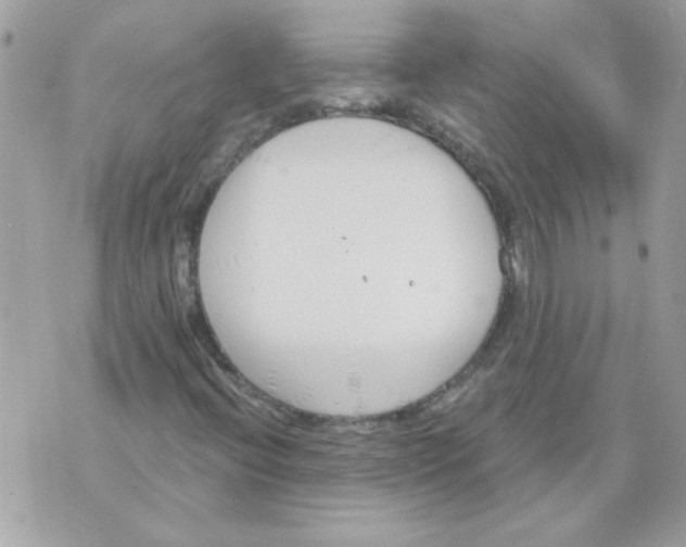 X0000070881396200607071936