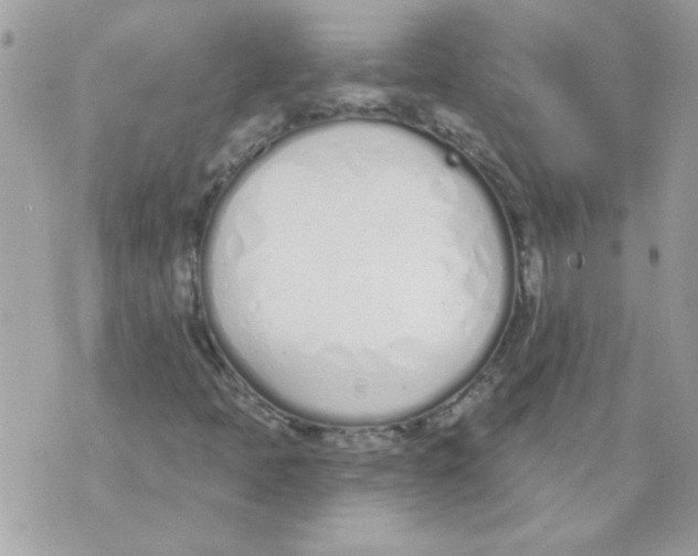 X0000070881397200607071936