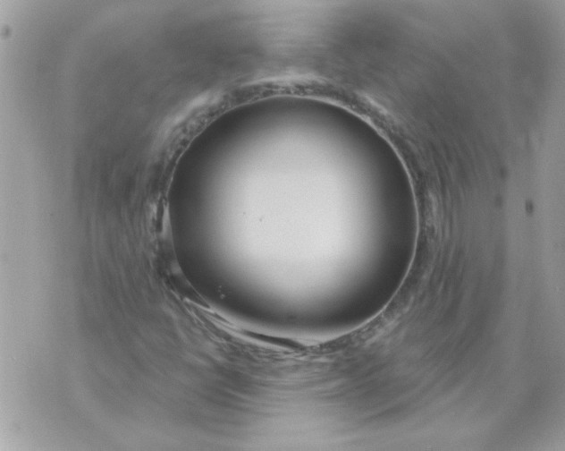 X0000070881398200607071936