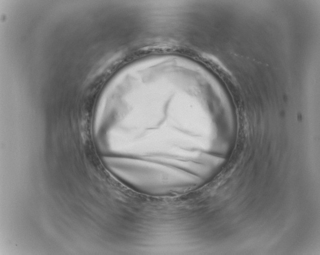 X0000070881399200607071936