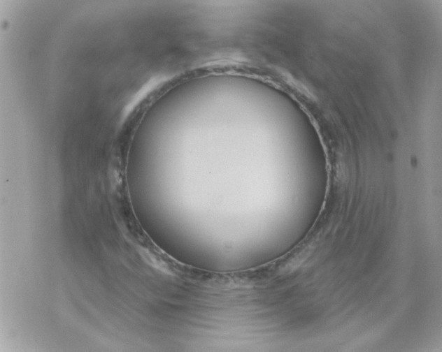 X0000070881400200607071936