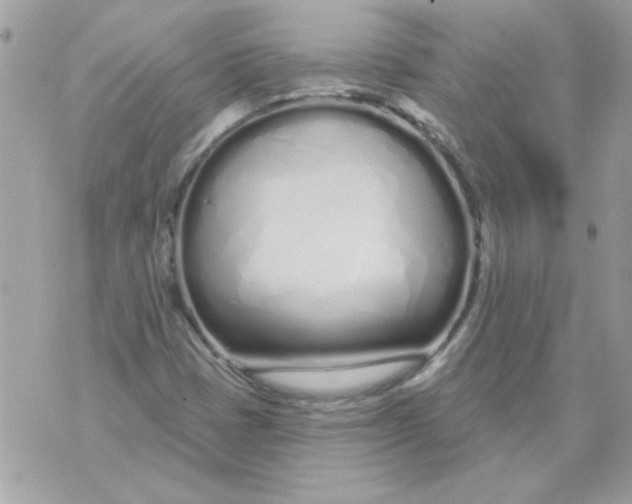 X0000070881401200607071936