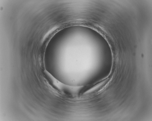 X0000070881402200607071936