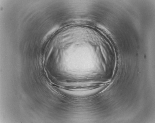 X0000070881403200607071936