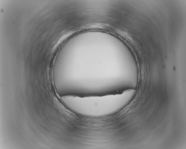 X0000070881404200607071936