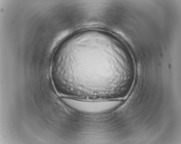 X0000070881405200607071936