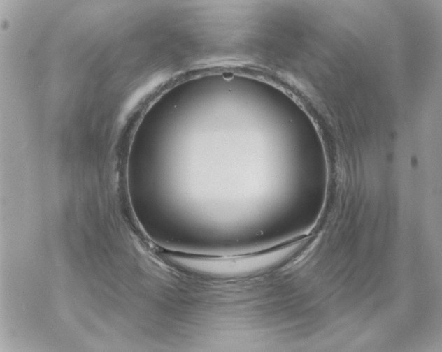 X0000070881406200607071936