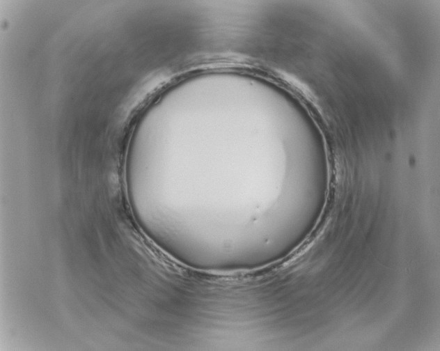 X0000070881407200607071936