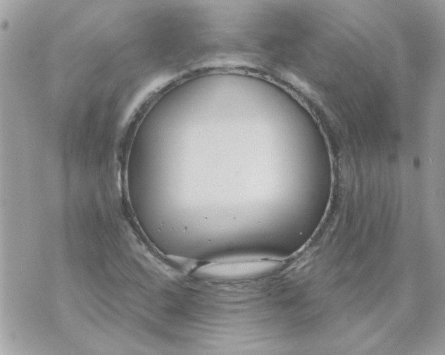 X0000070881408200607071936