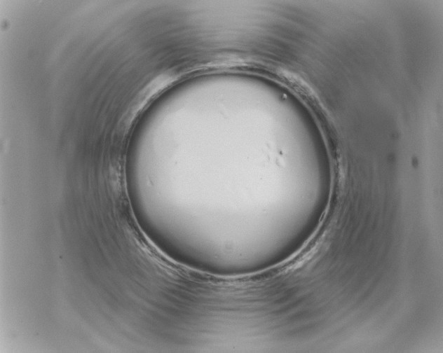 X0000070881409200607071936