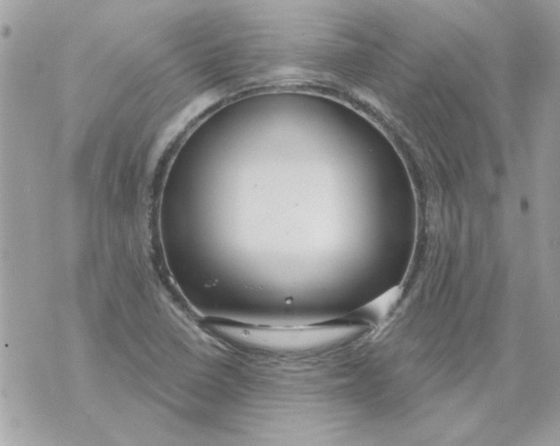 X0000070881410200607071936