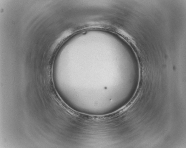 X0000070881411200607071936