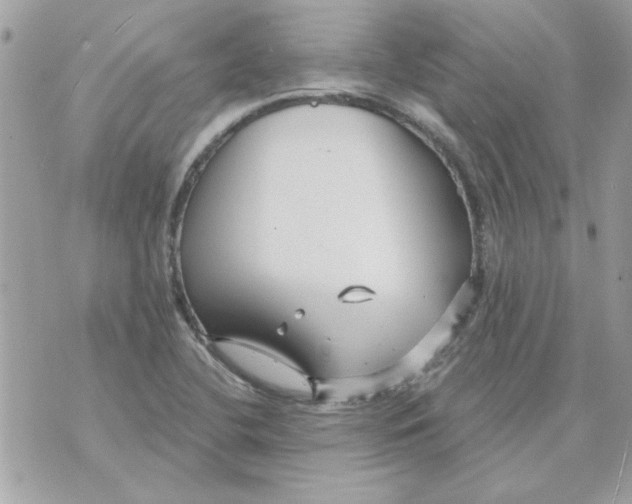 X0000070881412200607071936