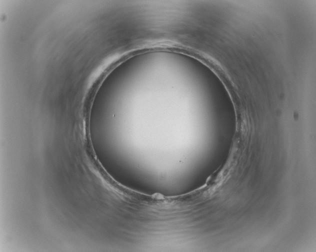 X0000070881414200607071936