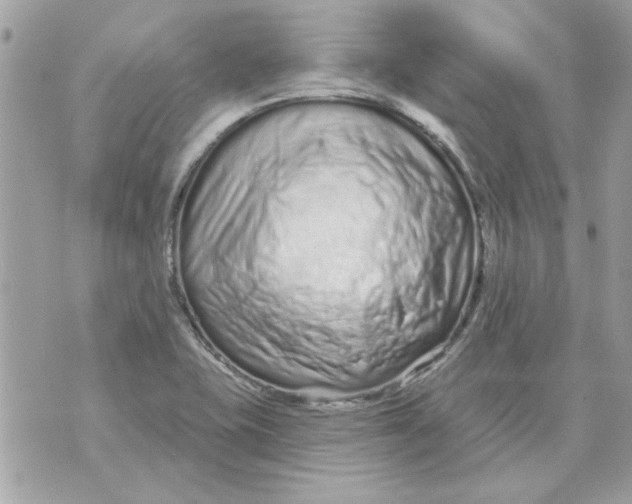 X0000070881415200607071936