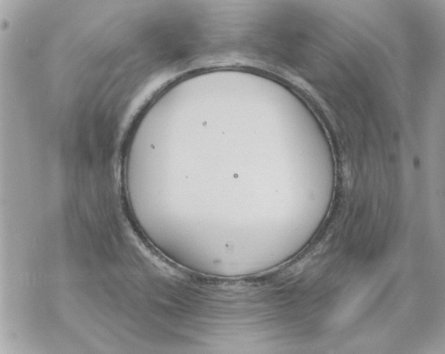 X0000070881416200607071936