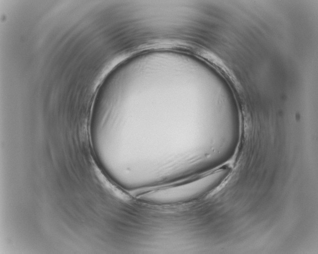 X0000070881417200607071936