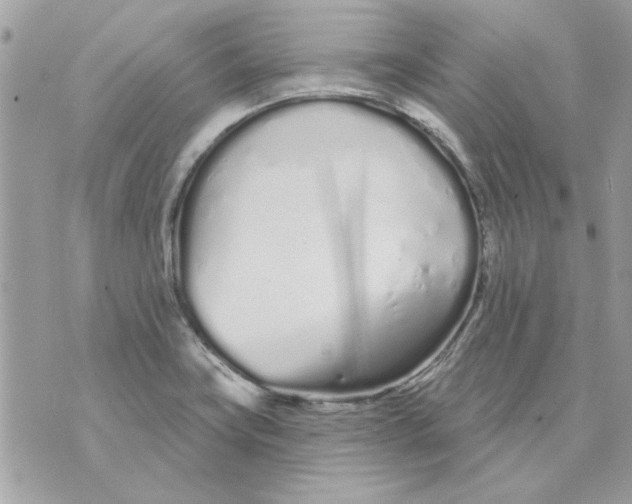 X0000070881419200607071936