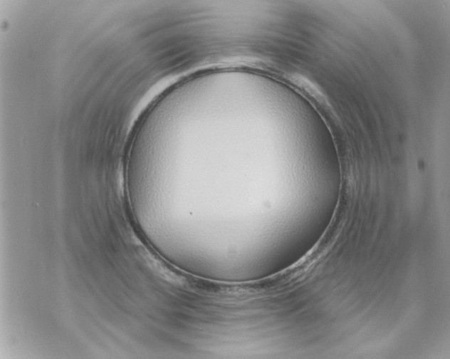 X0000070881420200607071936