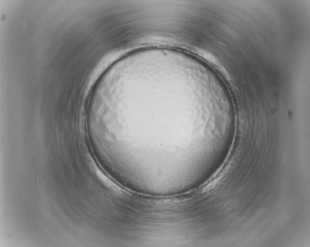 X0000070881421200607071936