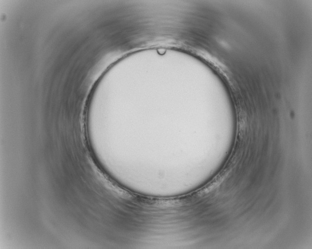 X0000070881423200607071936