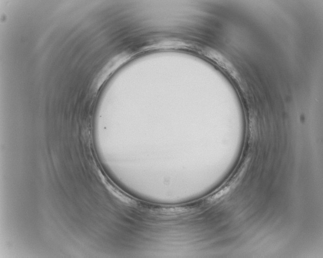 X0000070881425200607071936