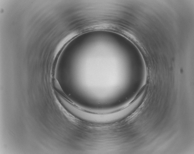 X0000070881426200607071936