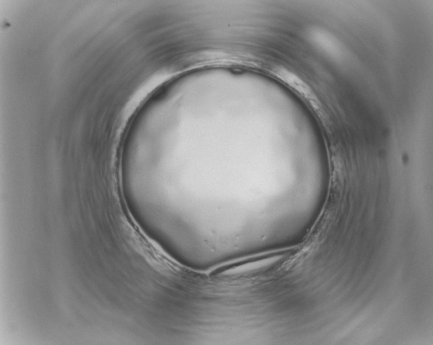 X0000070881427200607071936