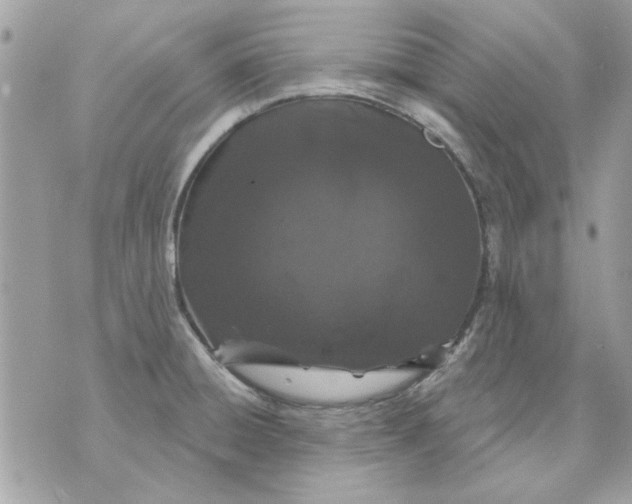 X0000070881428200607071936