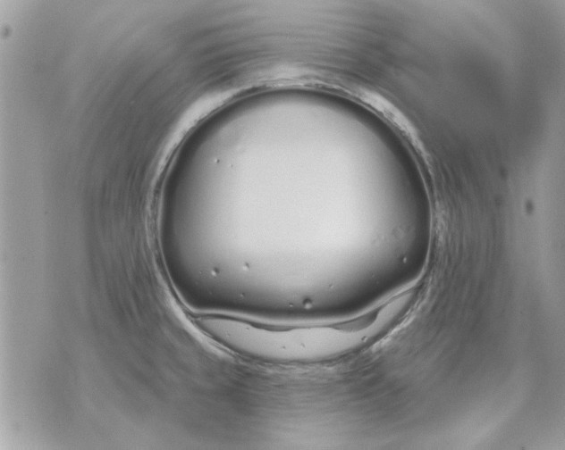 X0000070881429200607071936