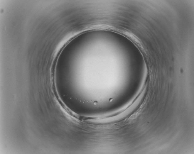 X0000070881430200607071937